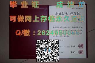 《S.P.Jain管理学院文凭：开启国际化商业精英之路的秘密武器》）