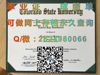 《厄尔斯特大学文凭：开启你的学术新篇章，成就未来无限可能》）