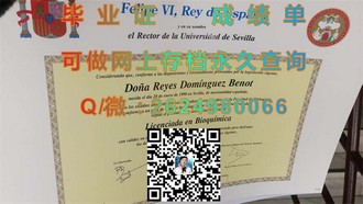 《埃克斯特大学文凭：开启全球认可的学术之旅》）