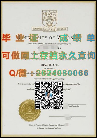 《金斯顿大学文凭：开启职业生涯的黄金钥匙，揭秘毕业生就业优势》）