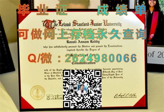 《苏塞克斯大学文凭：开启全球认可的教育之门，成就无限可能》）
