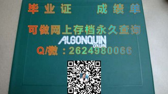 《萨里大学文凭：开启你的国际教育之旅，成就未来职场精英》）