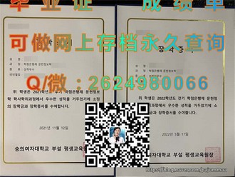 阿伯丁学院文凭：揭开全球顶尖大学的卓越荣耀之路）
