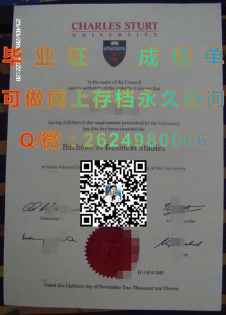 《伦敦城市大学文凭：揭秘其教育品质与全球认可度》）